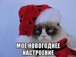 Правильной дорогой идем к стройности, товарищи! 114 серия, просто еще один день.