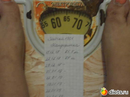 ������ ������ ��������-65 ��, ������: ������ ������� 2018-2019