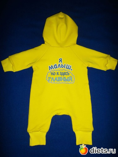 338 :  (    )....  ....