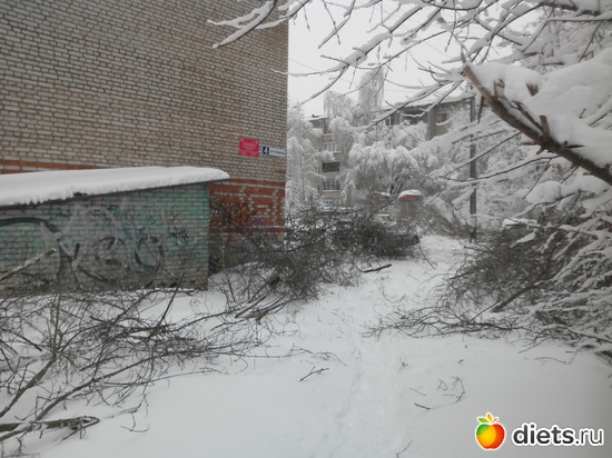 16 ����: 4 �������