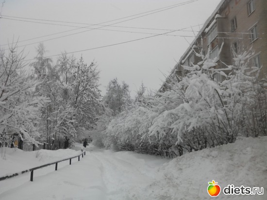 17 ����: 4 �������