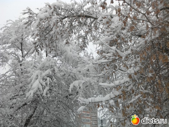 18 ����: 4 �������