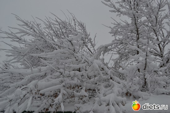 1 ����: 4 �������