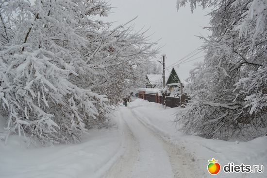 2 ����: 4 �������