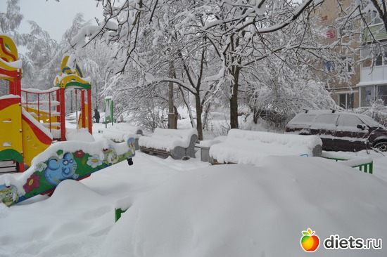 4 ����: 4 �������