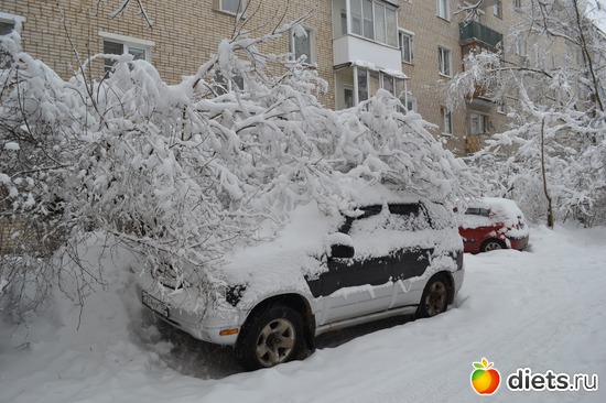 5 ����: 4 �������