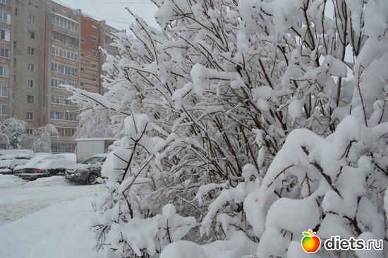 6 ����: 4 �������