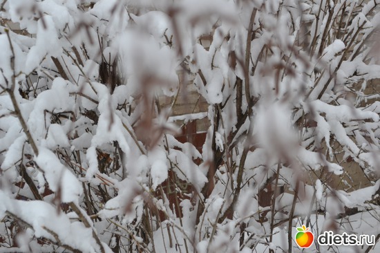 8 ����: 4 �������