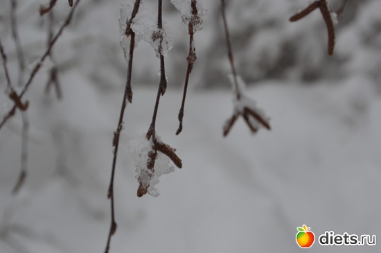 9 ����: 4 �������