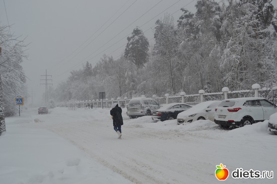 10 ����: 4 �������