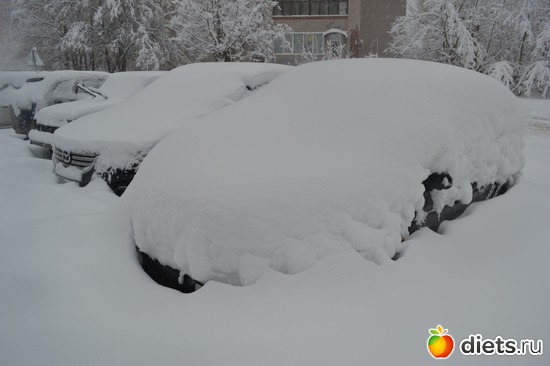 11 ����: 4 �������