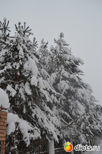 13 ����: 4 �������