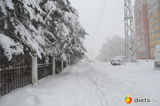 14 ����: 4 �������