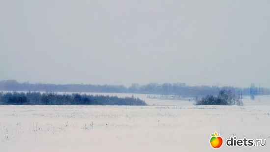 19 ����: �������� ����