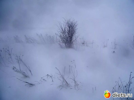 21 ����: �������� ����