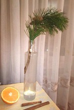 ������ ����