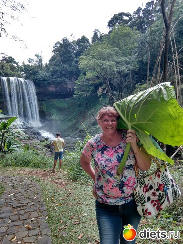 Природа великолепная, все в зелени!!!, альбом: Вьетнам январь 2018 год....