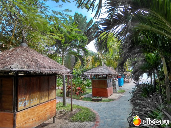     - !!!, :   2018 ....