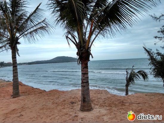 Море и пальмы!!!, альбом: Вьетнам январь 2018 год....