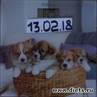 22 ���� 4 �����������