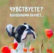 ����� �� ������� ����� 60. ����� �� ������� �� 16.02.2018