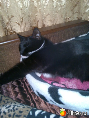 Фото, альбом: Фото