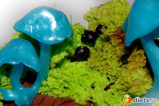 74 ����: ����������� �������