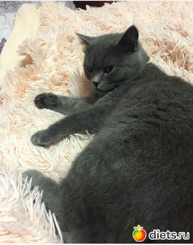 4 ����: ����!