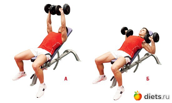 жим гантелей под углом 45, альбом: Тренировка, тренажерный зал