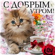 ����� �� ������� " ����� 60". ����� �� ������� �� 22.02.2018