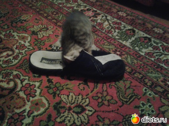 6 ����: ����!