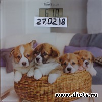 36 ���� 6 �����������