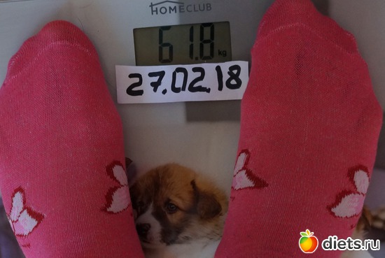 6 ����������� -700, ������: ��� ����