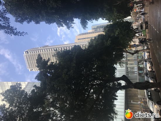 63 ����: ������� 2018