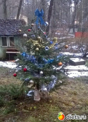 9 ����: ����� ���