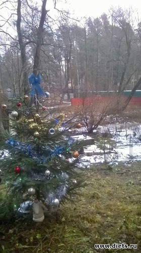 8 ����: ����� ���