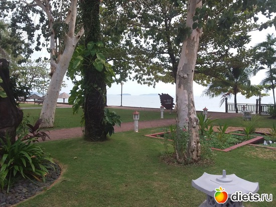 45 ����: ����������, ������ �����