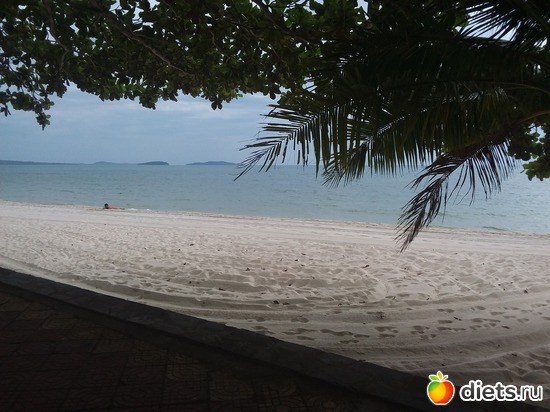 46 ����: ����������, ������ �����