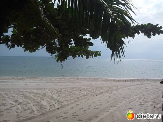 47 ����: ����������, ������ �����