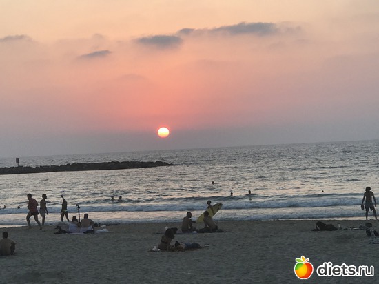 242 ����: ������-������� 2017. ��� 53-54