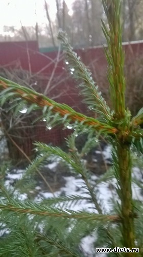 5 ����: ����� ���