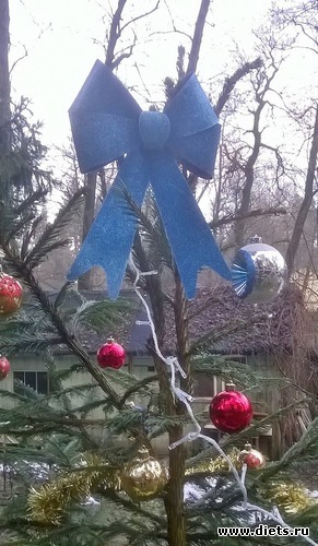 6 ����: ����� ���