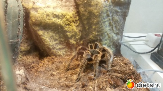 2 ����: �������� ������������ ��������