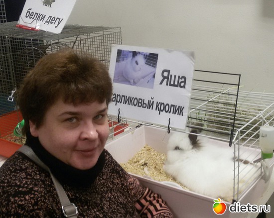 3 ����: �������� ������������ ��������