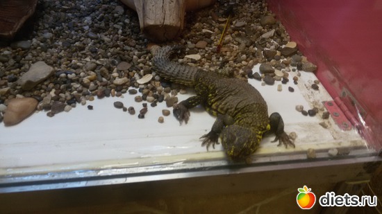 4 ����: �������� ������������ ��������