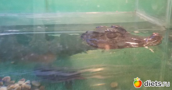 7 ����: �������� ������������ ��������