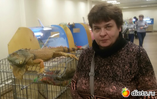 8 ����: �������� ������������ ��������