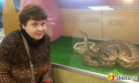 10 ����: �������� ������������ ��������