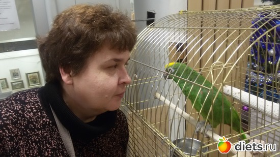 12 ����: �������� ������������ ��������