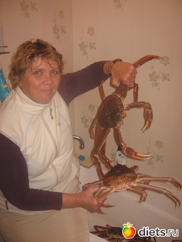 2 ����: ��������� ��������